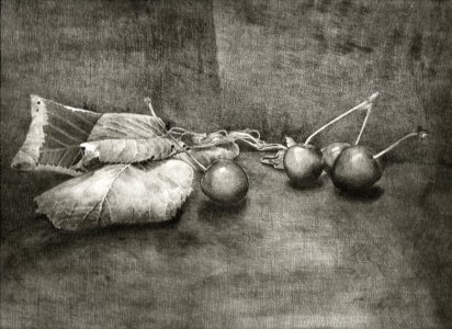 ciliege 2015 puntasecca su plexiglas 250 x 330 mm carta fabriano 35 x 50 cm